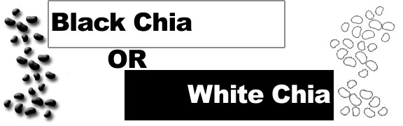 Black or White Chia?