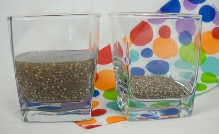 Gel vs Dry Chia Glass Compare Photo