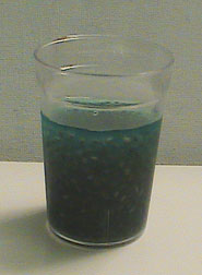 Wacky Blue Chia Cooler Drink