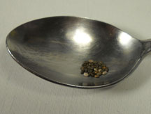 Dry chia seeds in a spoon