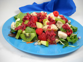 Cranberry Veggie Chia Salad Dressing